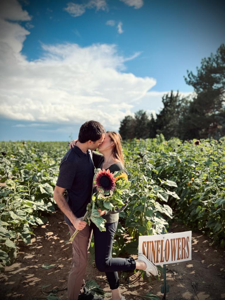 Sunflowers at Apple Annie's